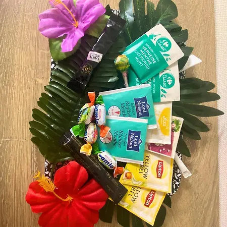 Appartement Hypercentre-plage, Cocon Cozy Et Chaleureux De 50m2 Le Saint-vincent Le Havre